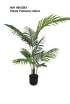 Planta Palmeira H120