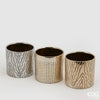 Vaso Zebra