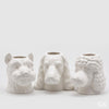 Vaso Barb