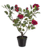Flor Rosa Vermelho com vaso