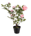 Flor Rosa com vaso