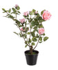 Flor Rosa com vaso