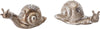 Caracol 10X4.5X5