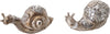 Caracol 10X4.5X5