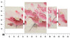 Quadro Flores