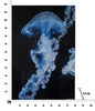 Quadro Medusa Azul