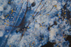 Quadro Medusa Azul