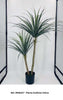 Planta H155