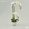 Flor Orquídea Phal com vaso H50