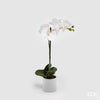 Flor Orquídea Phal com vaso H40