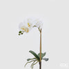 Flor Orquídea H50
