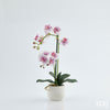 Planta Orquídea C/ Vaso H53