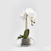 Planta Orquídea C/Vaso H54