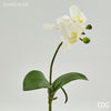 Flor Orquidea Foglie H27