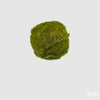 Esfera Musgo D12