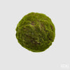 Esfera Musgo D17