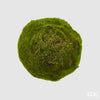 Esfera Musgo D20