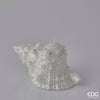 Vela Concha S White