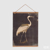 Quadro Ibis bamboo