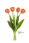 Atado Tulipas Salmon H38