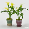 Flor Calla com vaso
