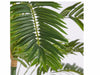 Palma Areca Chic C/ vaso H180