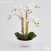 Flor Orquídea com vaso H64