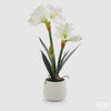 Flor Amaryllis com vaso h65