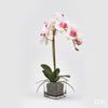 Flor Orquídea Phal com vaso H54