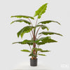 Flor Alocasia com vaso H170