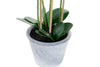 Orquidea 20X20X72