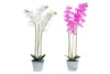Orquidea 20X20X72
