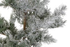 Árvore Natal Nevado 1.80m